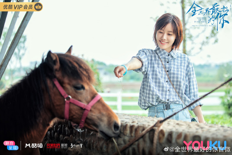 The Best of You in My Mind / The Best of You All Over the World China Web Drama